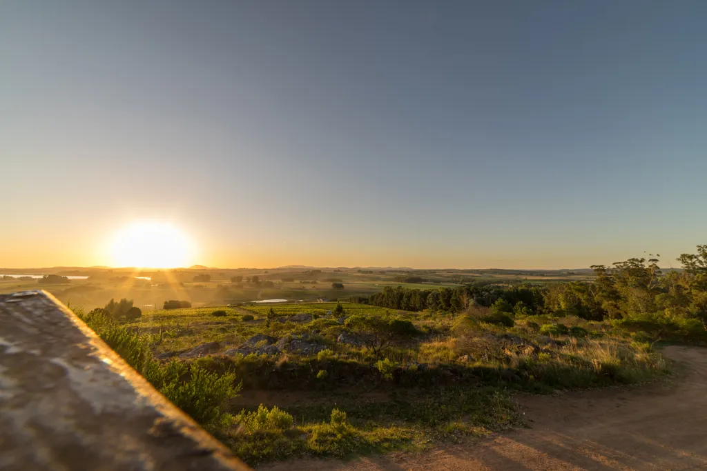 Beautiful landscape of Rivera wine region