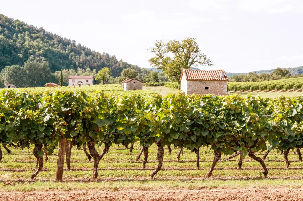 Beautiful landscape of South West France wine region