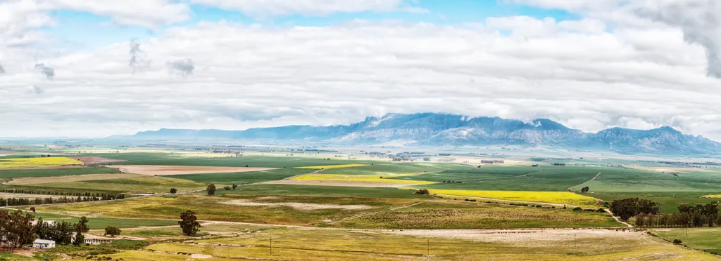 Beautiful landscape of Swartland wine region