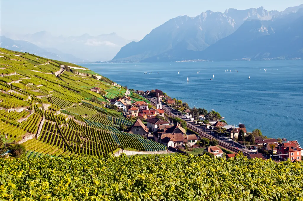 Beautiful landscape of Switzerland wine region