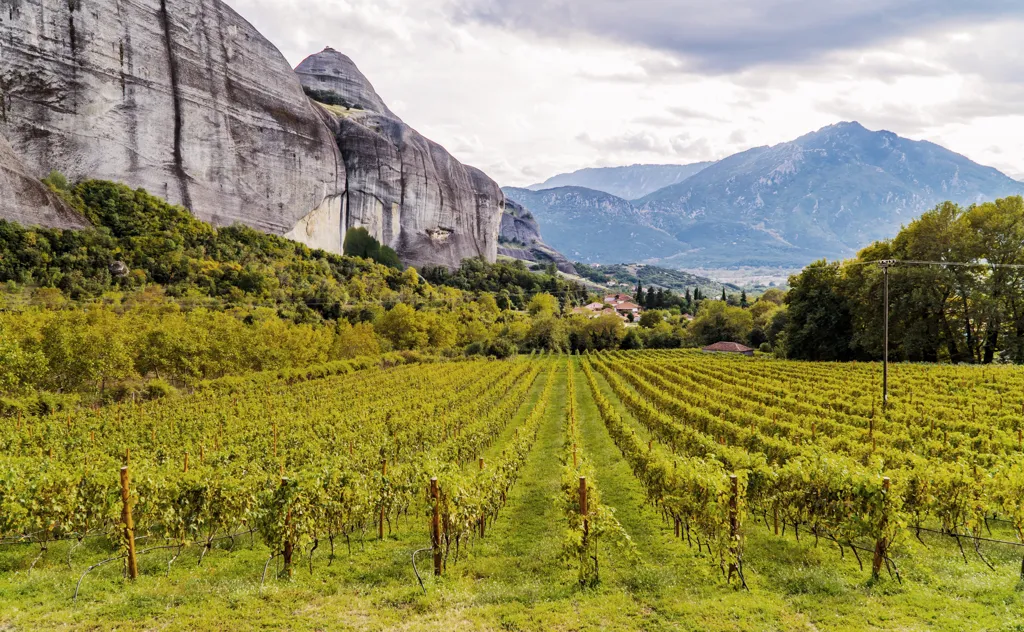 Beautiful landscape of Thessalia wine region