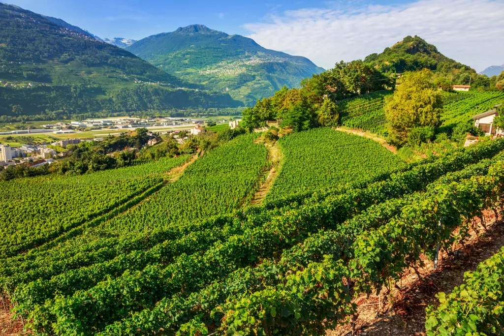 Valais