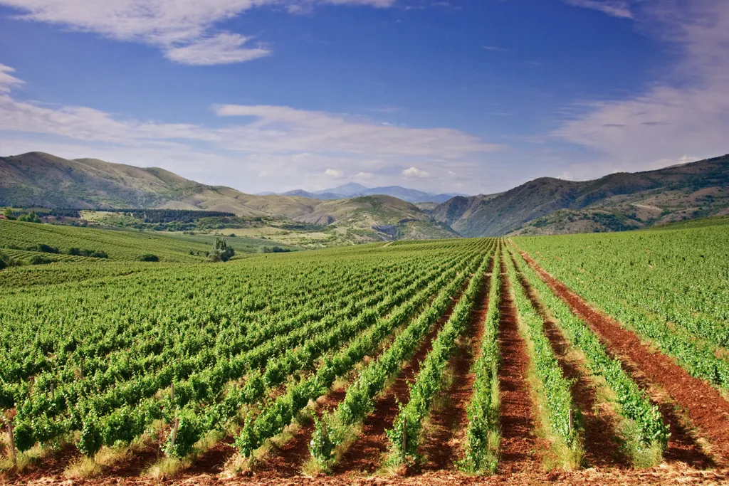 Vardar River Valley