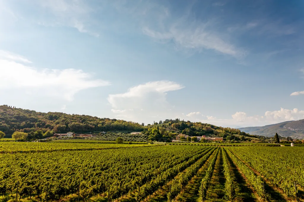 Beautiful landscape of Veneto wine region