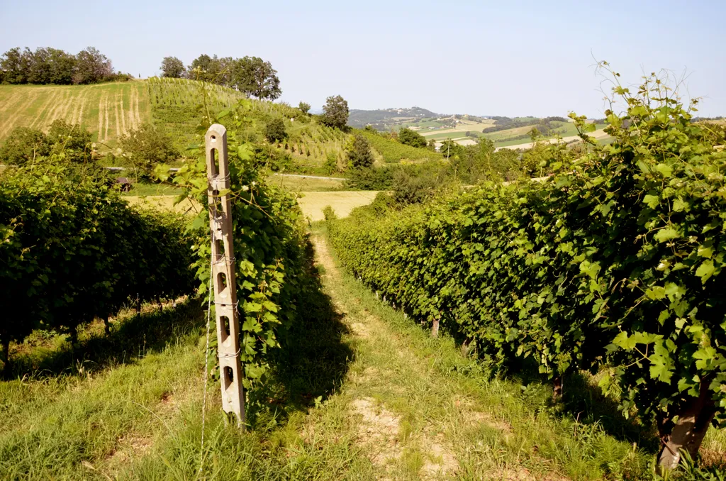 Beautiful landscape of Vin Santo wine region