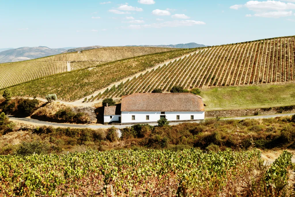 Beautiful landscape of Vinho Verde wine region