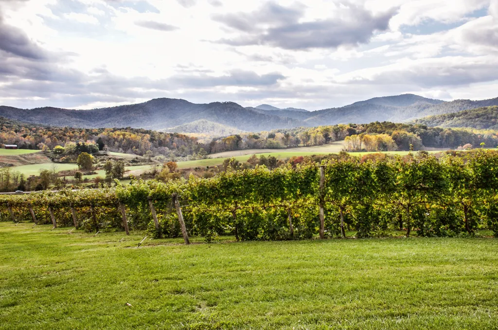 Beautiful landscape of Virginia wine region