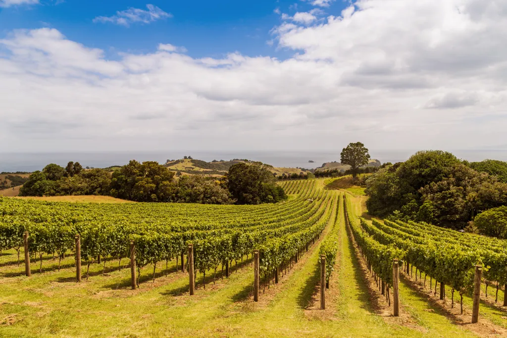 Waiheke Island