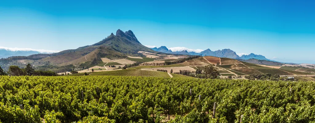 Beautiful landscape of Western Cape wine region