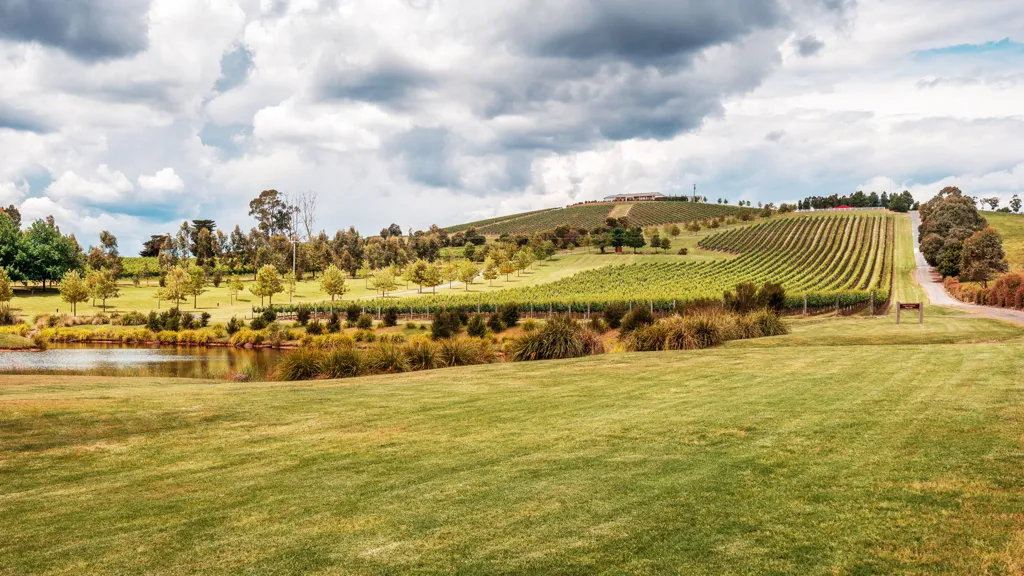 Beautiful landscape of Yarra Valley wine region